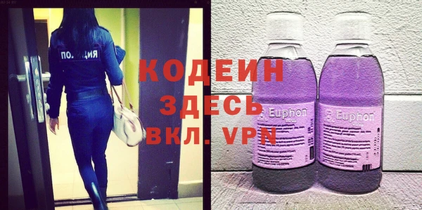 хмурый Алексин