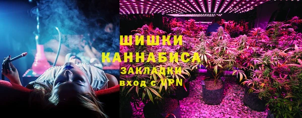 МДПВ Алзамай