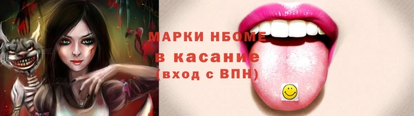 хмурый Алексин