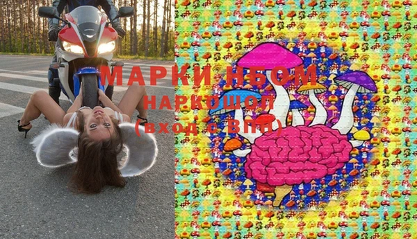 хмурый Алексин