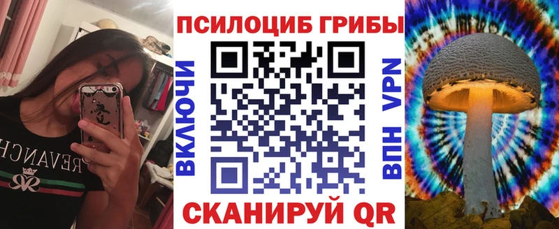 KRAKEN зеркало  Морозовск  Галлюциногенные грибы прущие грибы 